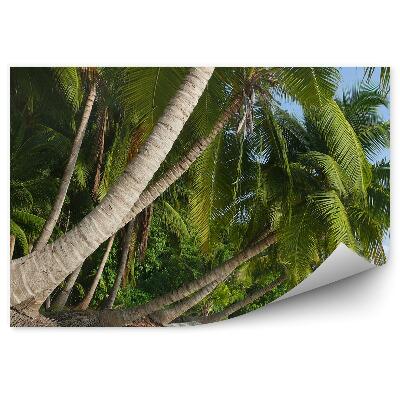 Fototapeta Palmy Pláž Oceán Obloha