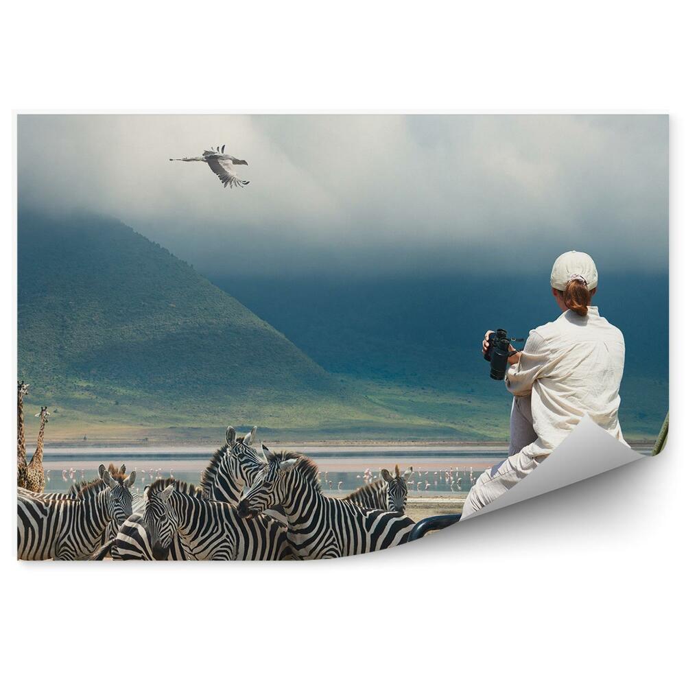 Fototapeta na stenu Zebry Žirafy Vtáky Hory Safari Turisti