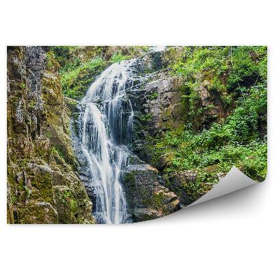 Fototapeta na stenu Príroda vegetácia vodopád Krkonoše