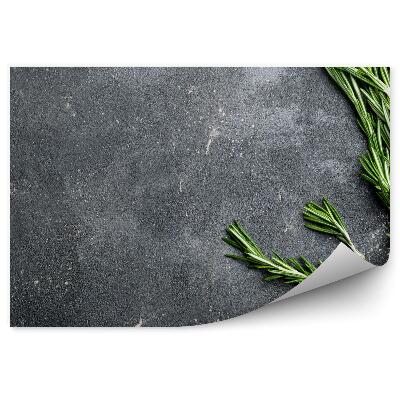 Fototapeta na stenu Rozmarín na tmavom betónovom podklade
