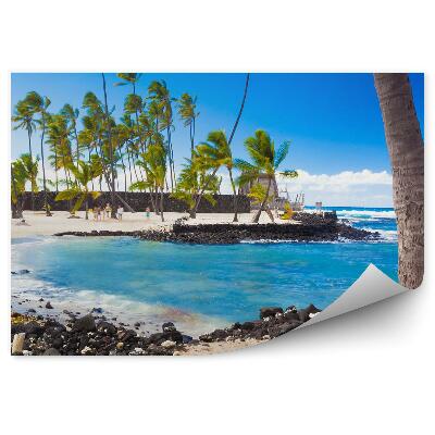 Fototapeta na stenu Palmy rastliny pôda obloha mraky Havaj