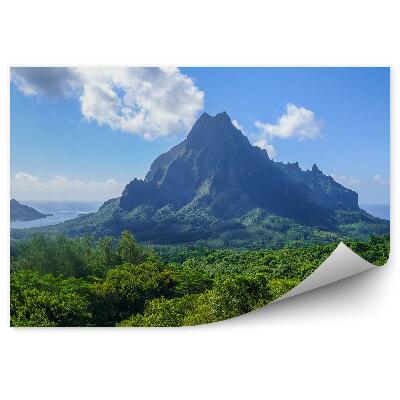 Fototapeta na stenu Pohľad z vtáčej perspektívy záliv kopec lagúna