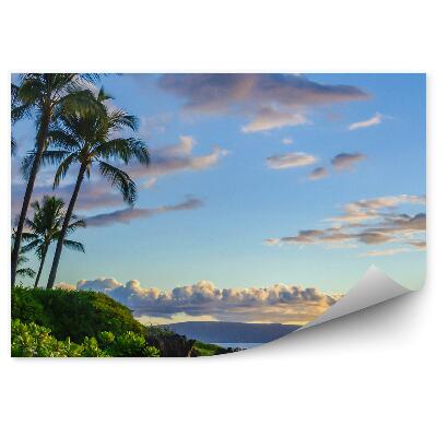 Fototapeta Tropické Palmy Kopec Oceán Skaly Obloha Mraky