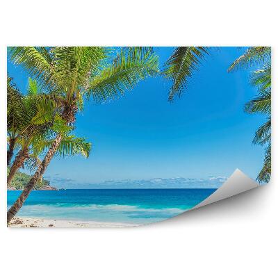 Fototapeta Palmy Hory Rastliny Pláž Oceán More Obloha Mraky