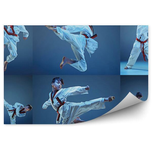 Fototapeta Collage karate trening deček