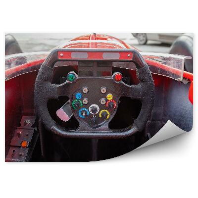 Fototapeta Avtomobili cestni nadzor formule 1