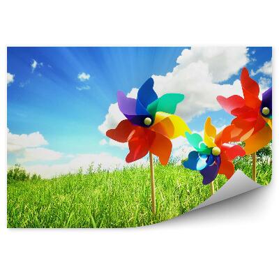 Fototapeta Farebné veterné mlyny lúka modrá obloha mraky