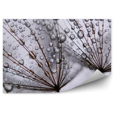 Fototapeta Kvapky Rosy