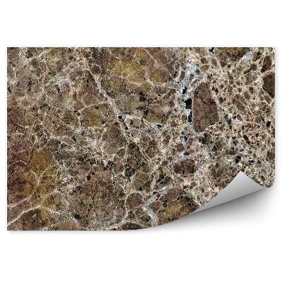 Fototapeta na stenu Hnedý mramor