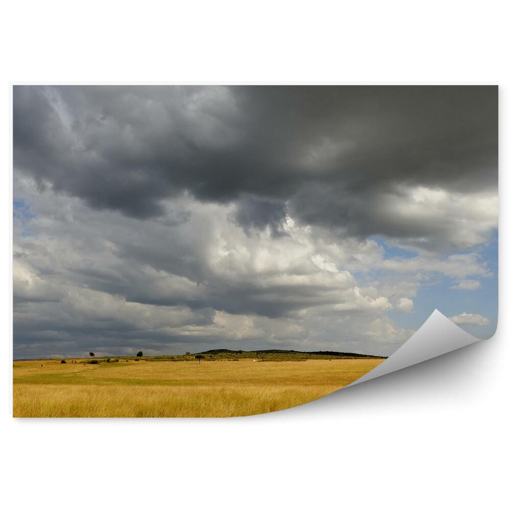 Fototapeta na stenu Krajina savana obloha mraky