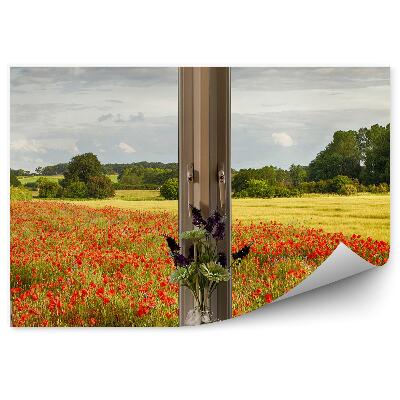 Fototapeta Kvety maku záhrada pri dome