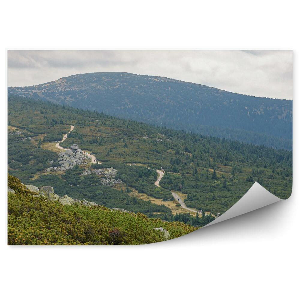 Fototapeta na stenu Hory príroda zeleň chodník v Krkonošiach