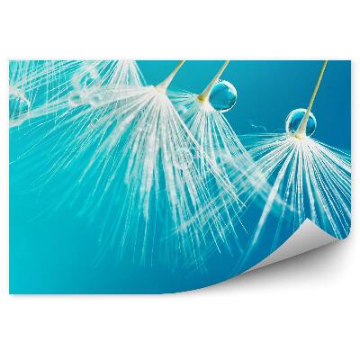 Fototapeta na stenu Kvapka Rosy Kvety Fúzača