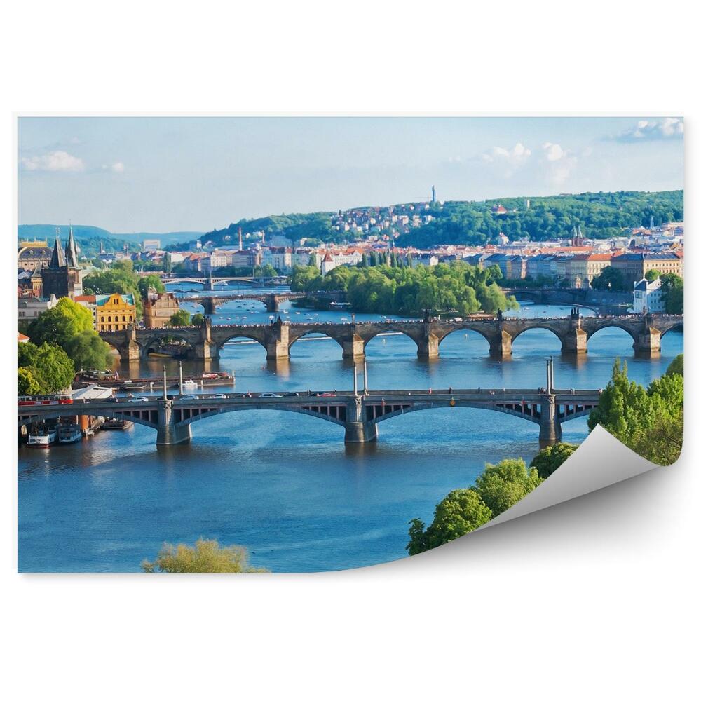 Fototapeta na stenu Češka republika arhitektura rastline