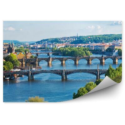 Fototapeta na stenu Češka republika arhitektura rastline