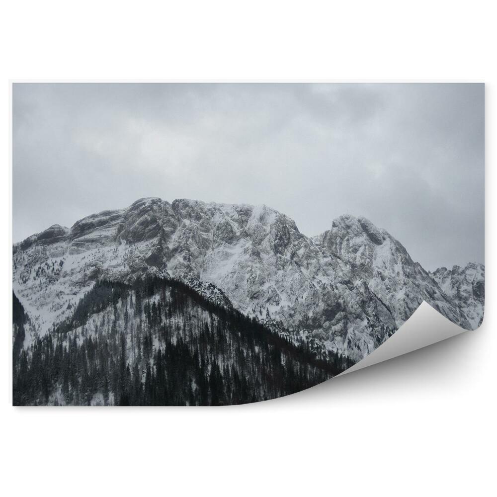 Fototapeta na stenu Vrcholy hôr les vianočné stromy sneh giewont
