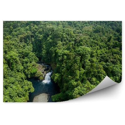 Fototapeta Les Rieka Príroda Príroda