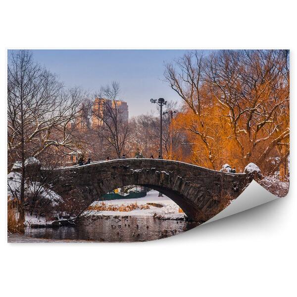 Fototapeta Central Park most kačice stromy mrakodrapy New York zima sneh