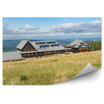 Fototapeta Poľana horský chodník Krkonoše lesy