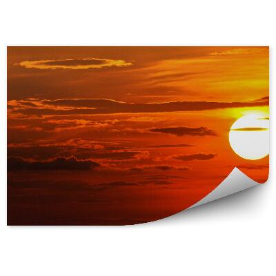 Fototapeta na stenu Palmy Trávy Západ Slnka