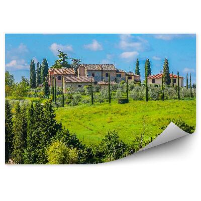 Fototapeta Budova vinice stromy obloha mraky Toskánsko Taliansko