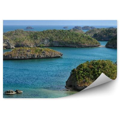 Fototapeta na stenu Skaly Rastliny Oceán Obloha