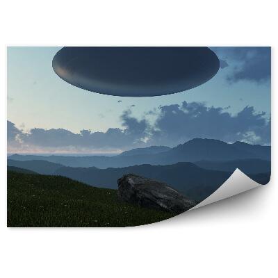 Fototapeta 3d Ufo Tráva Kvety Hory Skaly Obloha