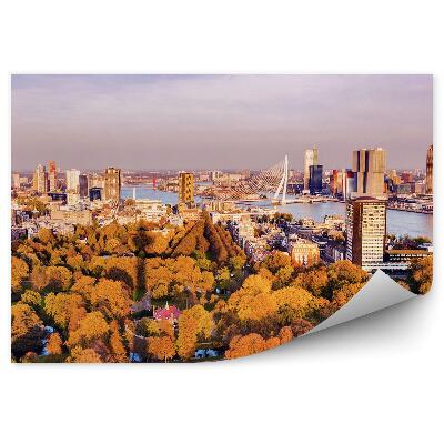 Fototapeta na stenu Jeseň mesto farebné stromy príroda