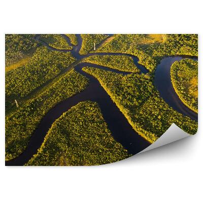 Fototapeta na stenu Pohľad na Amazóniu z vtáčej perspektívy