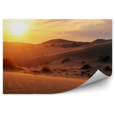 Fototapeta Púštne Rastliny Západ Slnka Obloha Mraky