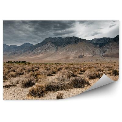 Fototapeta Tmavé Mraky Hory Príroda Pláž Nebo Mraky Údolie Smrti