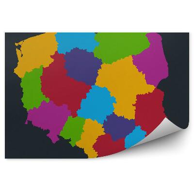 Fototapeta Farebná mapa poľska vojvodstiev