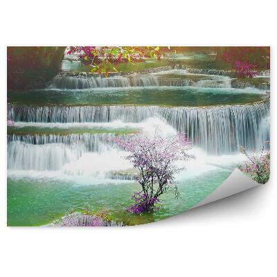 Fototapeta na stenu Kamene vodopád rastliny farby