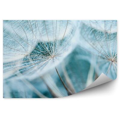 Fototapeta Kvety Semien Puklice