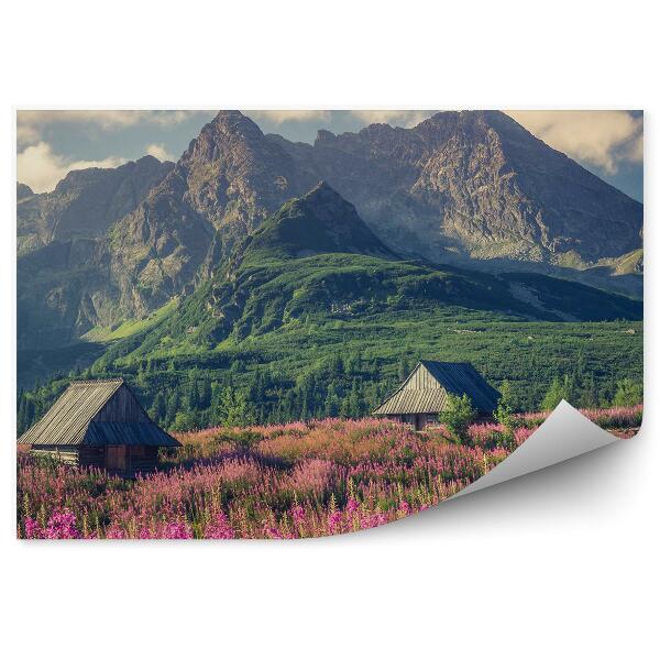 Fototapeta Tatry chaty stromy kvety rastliny obloha mraky