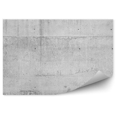 Fototapeta na stenu Betónové steny