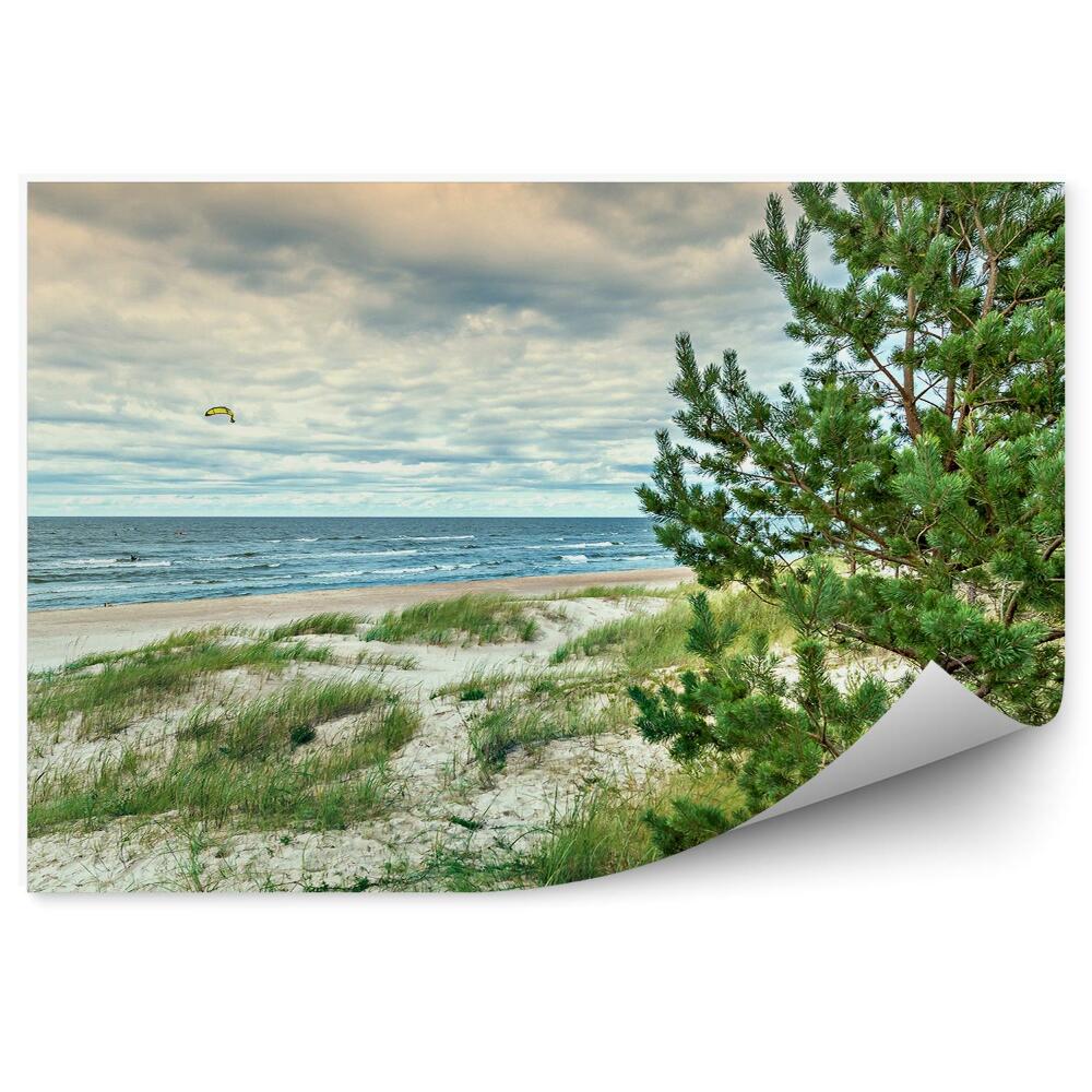 Fototapeta na stenu Krajina ihličnaté stromy draci oceán more obloha tráva západ slnka