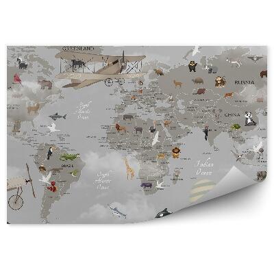 Fototapeta do detskej izby Stará mapa sveta kreslenie šedá pre deti