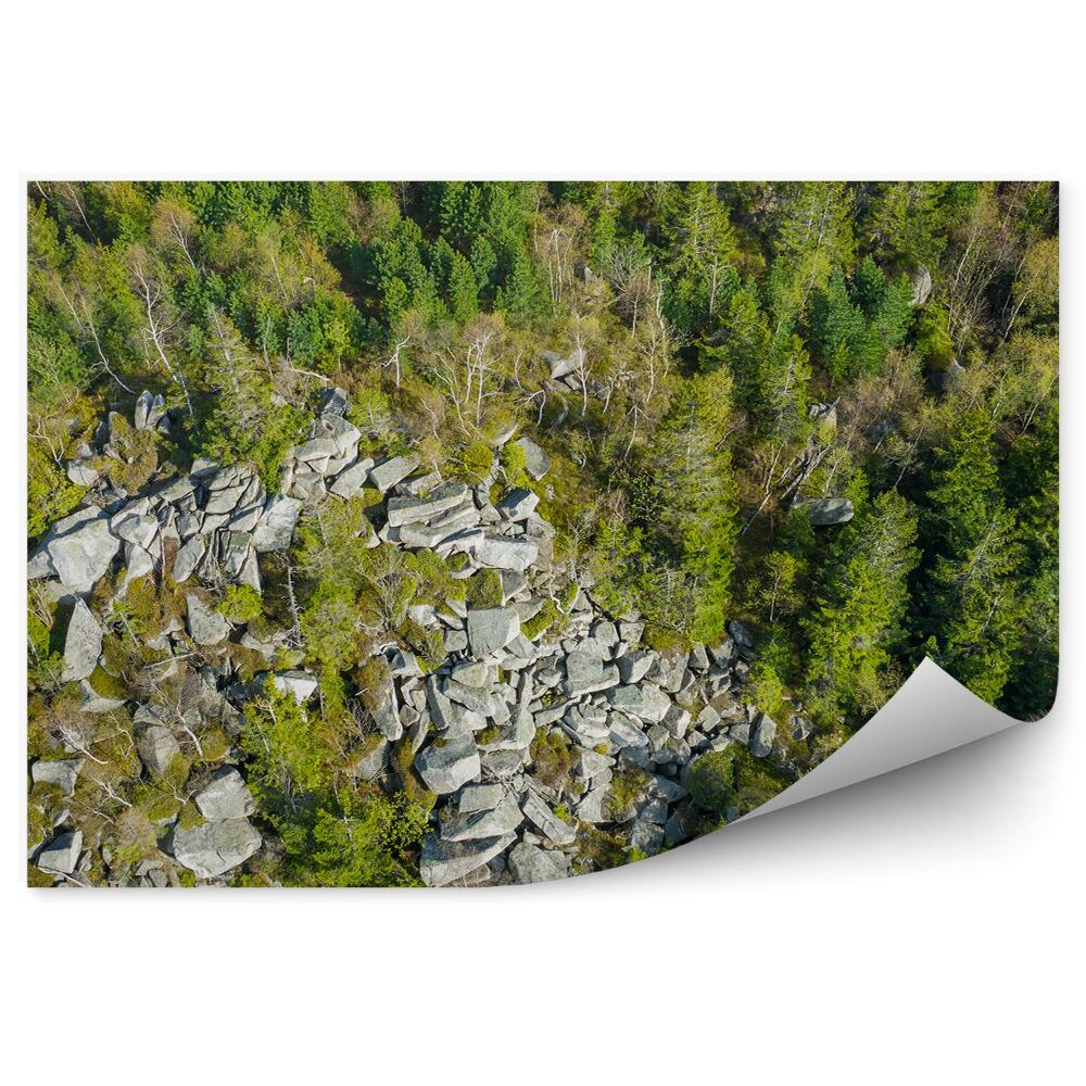 Fototapeta Pohľad na hory les skaly krajina sudety