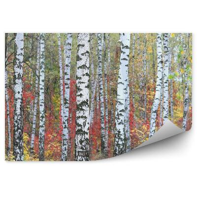 Fototapeta na stenu Farebné jesenné lístie brezový les príroda