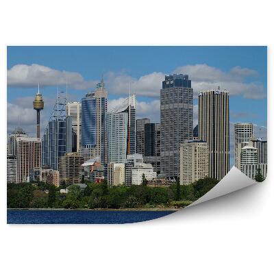 Fototapeta Mrakodrapy stromy oceán obloha mraky Sydney