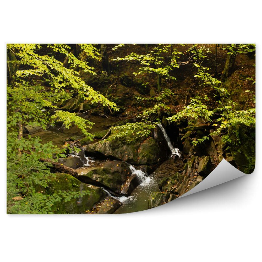 Fototapeta Lesný potok Bieszczady hory