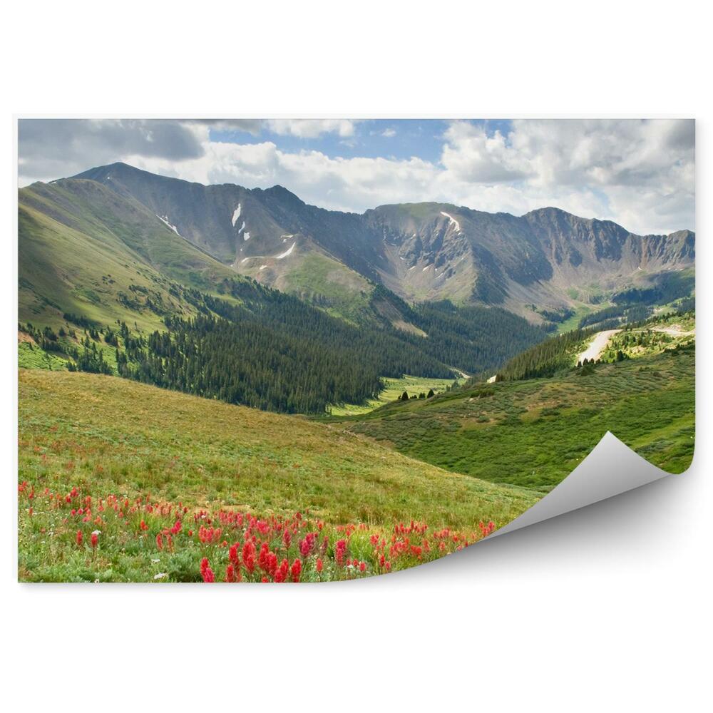 Fototapeta Alpská lúka kvety zelená vegetácia