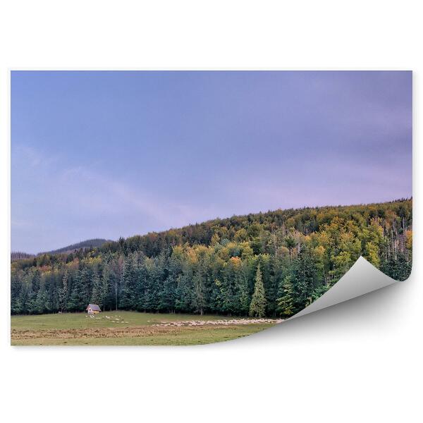 Fototapeta na stenu Panoráma mesta tatry ihličnaté stromy tráva chaty obloha