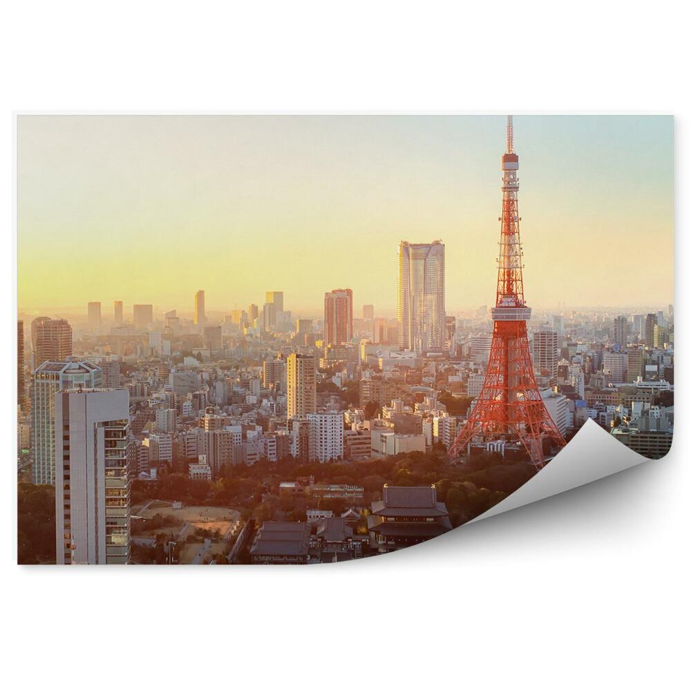 Fototapeta Pohľad z vtáčej perspektívy Tokio Japonsko