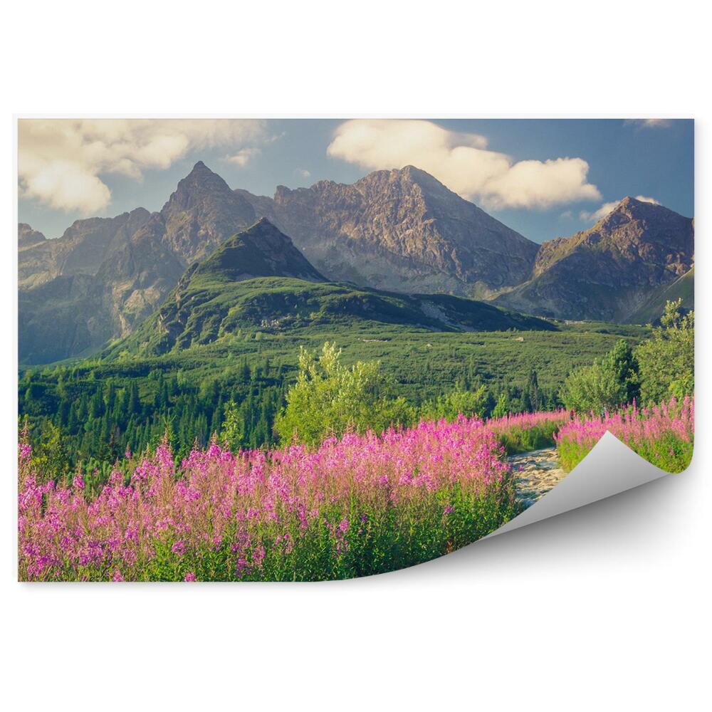 Fototapeta na stenu Tatry Pochované Hory Zelené Stromy Kvety Rastliny Cesta Obloha Mraky