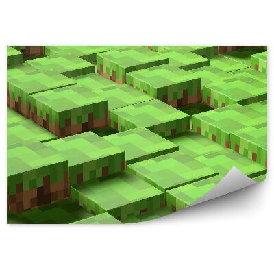 Fototapeta na stenu Kocky pixel hra zem vzor
