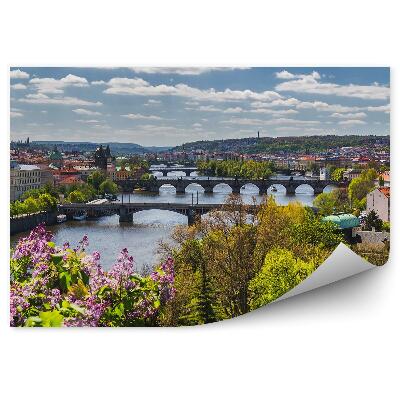 Fototapeta Panoráma mesta pohľad z vtáčej perspektívy kvety kríky