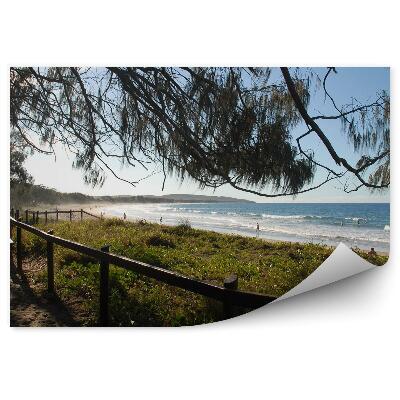 Fototapeta na stenu Plážový Plot Lavička Oceán Ľudia Stromy Tráva