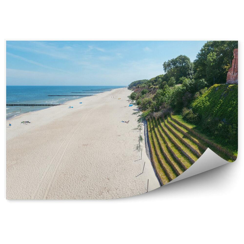 Fototapeta Pláž morské pobrežie Baltské more zelený piesok